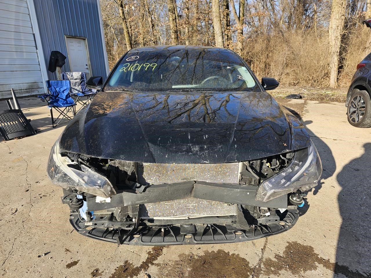 Picture 3