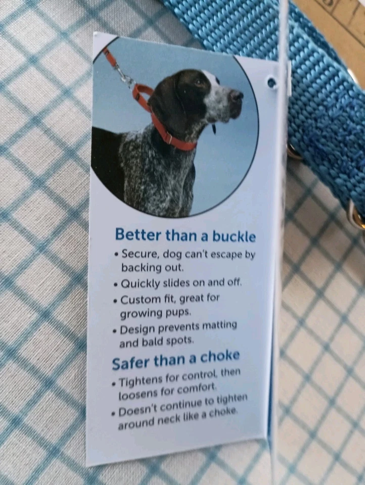 Nuevo Collar para Mascotas Martingala PetSafe Ajustable M 10"-16" Cuellos 3/4" W Azul Real Foto 4 de 4