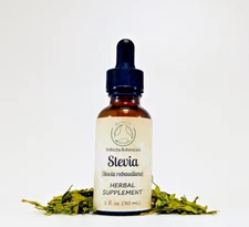 STEVIA Herbal Supplement / Liquid Extract Tincture / Stevia rebaudiana