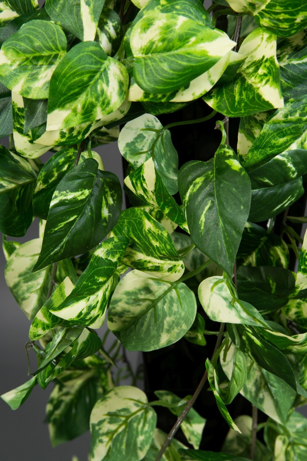 Photosranke 90cm grüngelb PM künstliche Pflanzen Ranken Photos