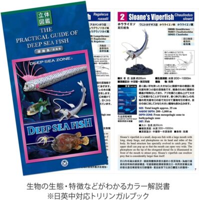 Carolata Deep Sea Fish Figure Set (7 types / box / with commentary