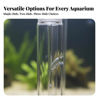 Attrape-vers en verre design transparent Planaria - Photo 1/4