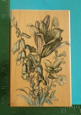 Hero Arts SPRING GARDEN ETCHING Rubber Stamp S1894 Flowers