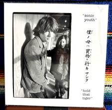 Sonic Youth- Hold That Tiger, Black 2xLP, Live 1987, NM/NM, W/ Ramones covers