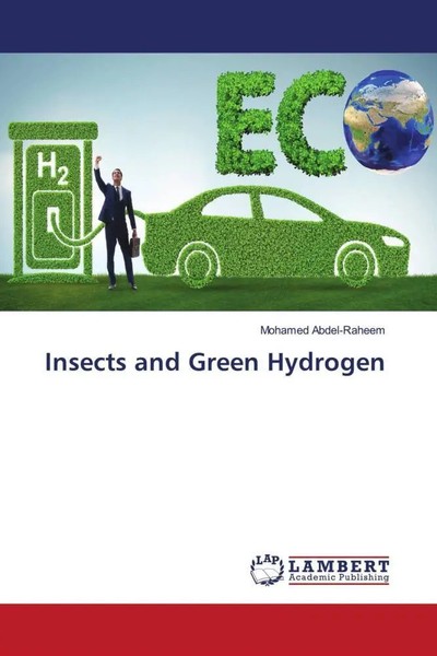 Mohamed Abdel-Raheem | Insects And Green Hydrogen | Taschenbuch | Englisch-image