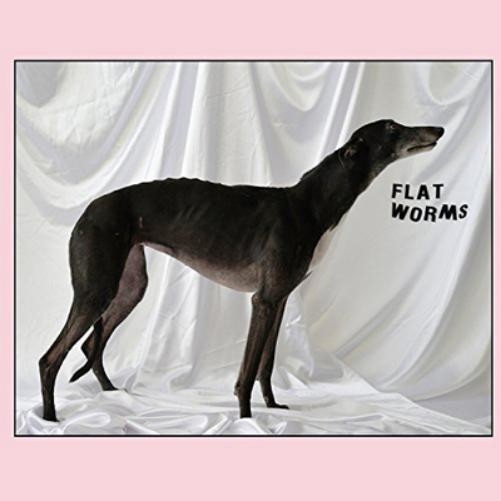 Flat Worms Альбом Flat Worms (винил) 12 (ИМПОРТ ИЗ Великобритании)