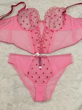 Adore Me EMBROIDERED HEARTS Bustier Corset BRA Panty Lot Set 36DDD/XL Pink Red