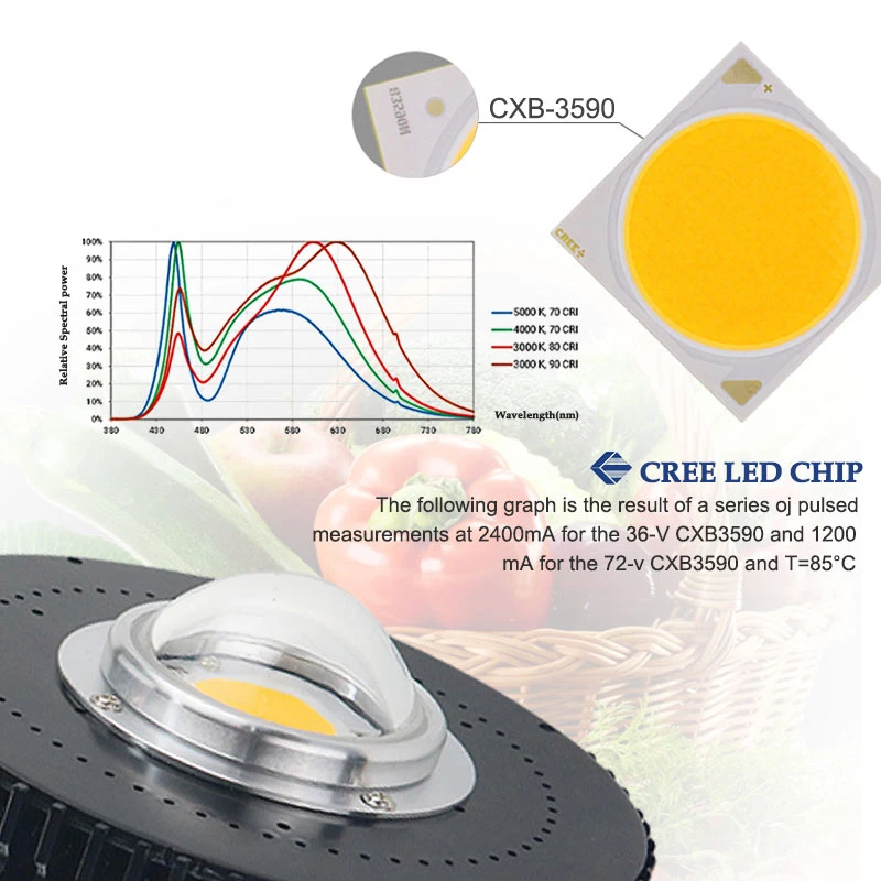 Cob led cree cxb3590 deals