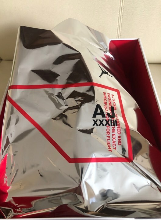 jordan 33 flight 3 uomo