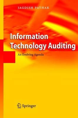 Information Technology Auditing - 9783642060571