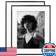 Egofine 16x20 Black Aluminum Picture Frame w/Mat for 12x16 or 16x20 Art