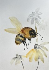 Quadro originale acquerello ape - A4
