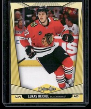 2024-25 O-Pee-Chee #231 Lukas Reichel Yellow Border