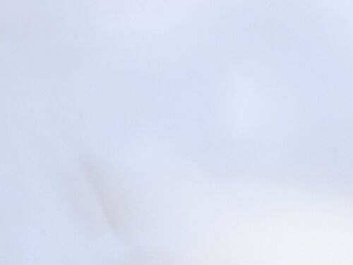 Stunning PALE ICY BLUE High Sheen Light to Medium Weight SATIN TAFFETA Fabric - Picture 2 of 3