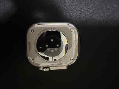 Apple Watch Ultra 49mm Titanium Case with Starlight Alpine Loop, Large (GPS +...
