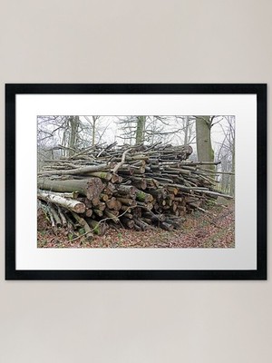 Holzstapel im Wald Gerahmte Kunst Pr Gerahmtes Wandbild Poster Leinwanddruck Bild