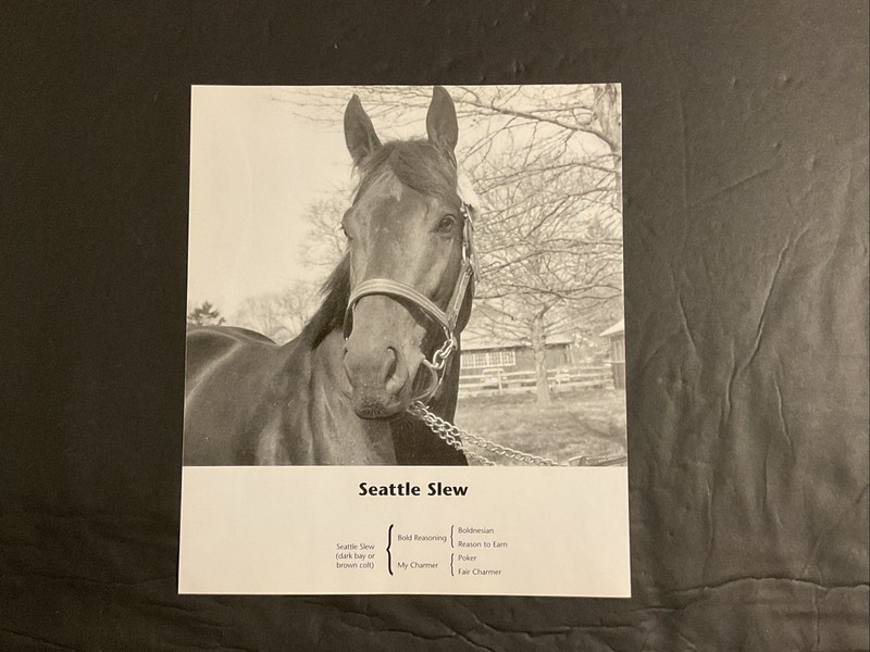 SEATTLE SLEW 5 PHOTOS LOT  Horse Racing  1977 BELMONT STAKES
