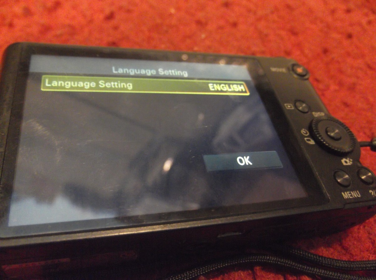Sony Cyber-Shot DSC-WX300 18.2MP 20x Wi-Fi Digital Camera Sony Cyber-Shot DSC-WX300 18.2MP 20x Wi-Fi Digital Camera