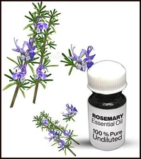 Rosemary Essential Oil 100% Pure Undiluted (10ML-500ML)