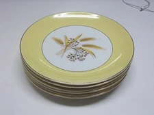 Vintage Century Service Corp Autumn Gold Dinner Plates
