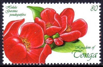 TONGA 7/8