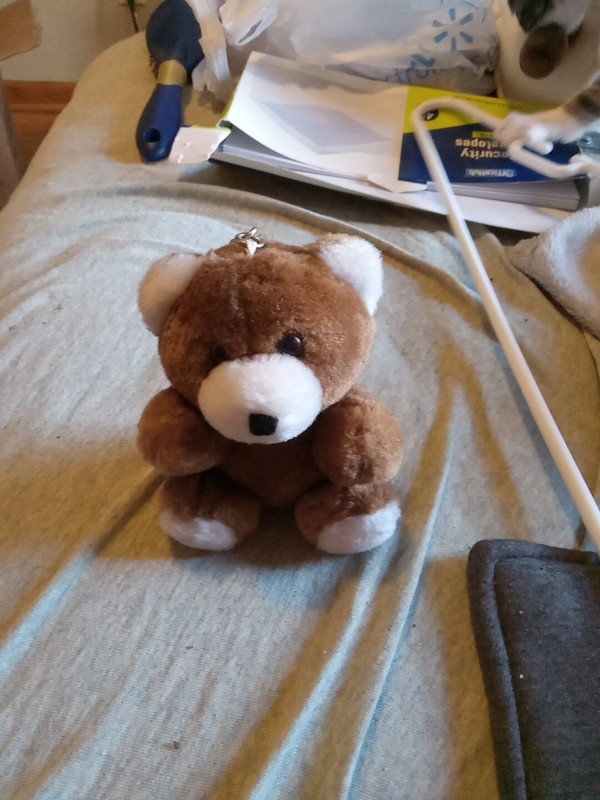 Plush Teddy Bear Keychain