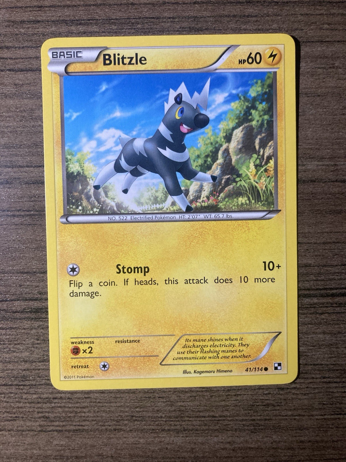 Blitzle 41/114 Black and White Base Set Common Pokemon Card NM