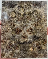 Stabilized Buckeye Burl Knife Scales | SBB 1120