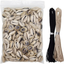 8 Ounces 160 220Pieces Natural Spiral Cowrie Shell Beads Cut Sea Shell Connect