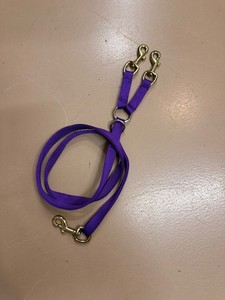 Purple dog lead double snap 