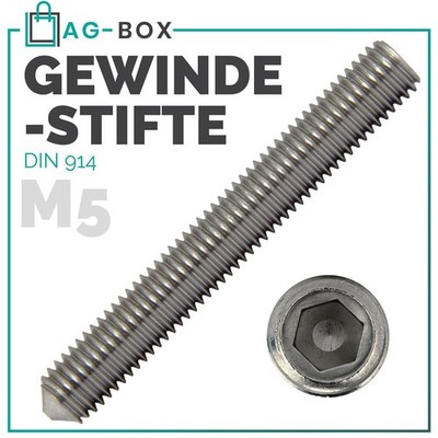 Gewindestifte mit Spitze M5 Madenschrauben DIN 914 Edelstahl A2 Innensechskant