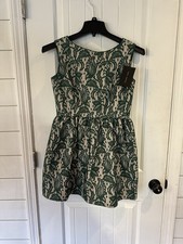 Zara Women Fit And Flare Tulip Dress Green Lace Large NWT
