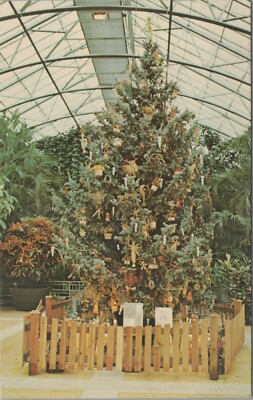 Educational Christmas Tree Krohn Conservatory Cincinnati Ohio C187
