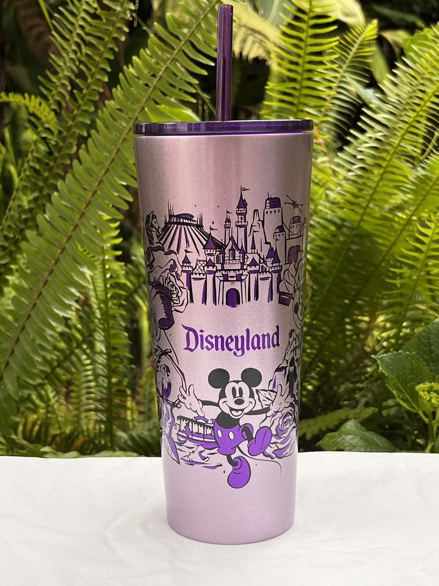Disney Starbucks Disneyland Stainless Steel Tumbler Straw Icons