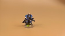 Warhammer 40K Painted Sergeant Telion 5