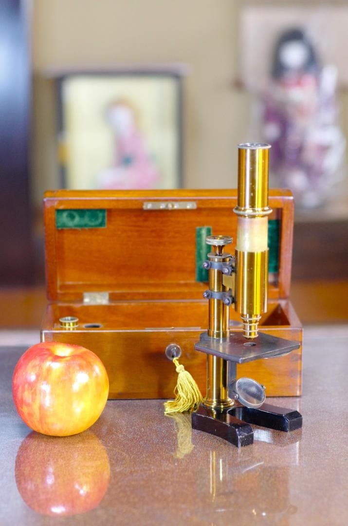 Antique Ernst Leitz Stand V Microscope 1873 Early Rare Wetzlar