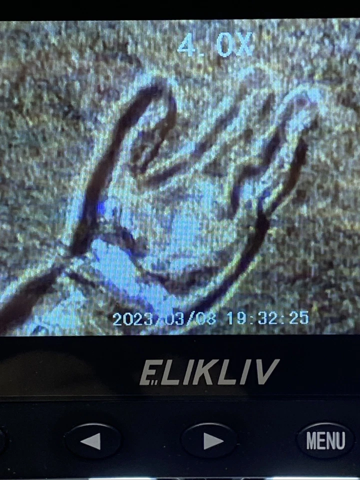 2009-D Professional Life BU DDR And Rare Errors On Hand And Feet - Image 3 of 4