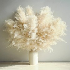 10 Stems Beige Pampas Grass Decor, Natural Dried 10 PCS - 1 Variety,