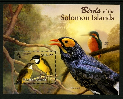 SOLOMON ISLANDS 1218, 2013 BIRDS (PACHYCEPHALA), SHEET OF 1, MNH (SOL312K)