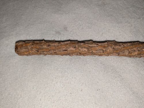 ANTIQUE VINTAGE RUSTIC KNOBBY THORNY SHILLE CANE WALKING STICK #4 - Picture 5 of 11