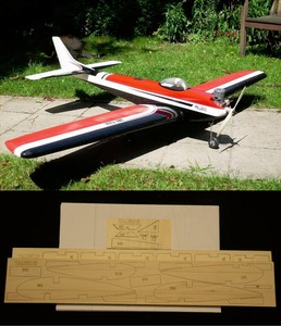 taurus rc airplane