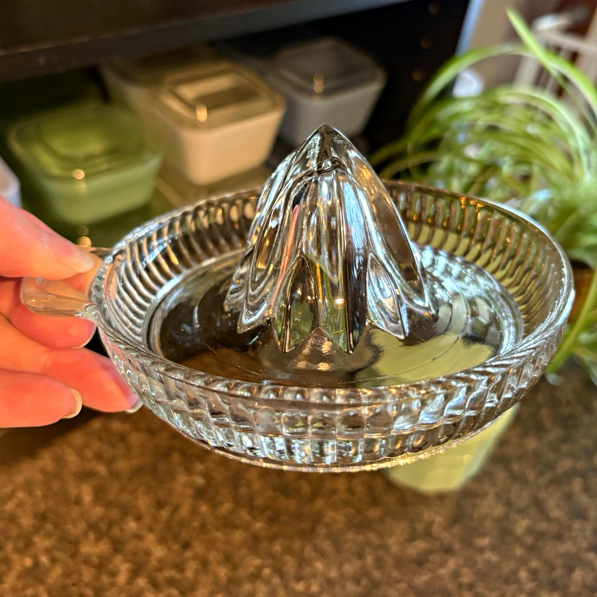 Clear Glass Manual Citrus Juicer Reamer with Spout