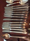 66 Piece 1847 Rogers Bros Adoration Silverplate Flatware Silverware Set — photo 9