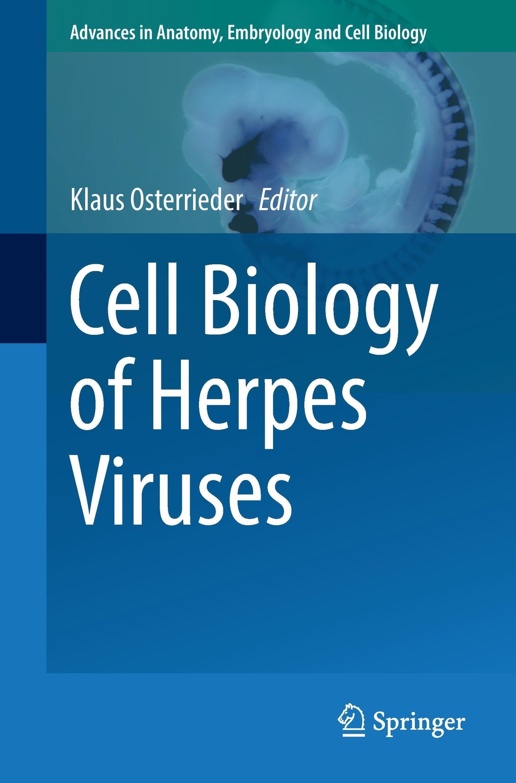 Thumbnail - Cell Biology Of Herpes Viruses Klaus Osterrieder Taschenbuch Paperback