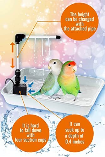 Stunning Waterfall Bird Enclosure For Macaw Parrots image