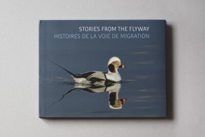 STORIES FROM THE FLY WAY - GESCHICHTEN VOM MIGRATIONSWEG