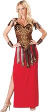 Gorgeous Gladiator Women Costume - Large