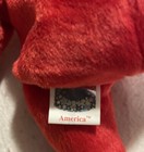 Picture 9 of 9