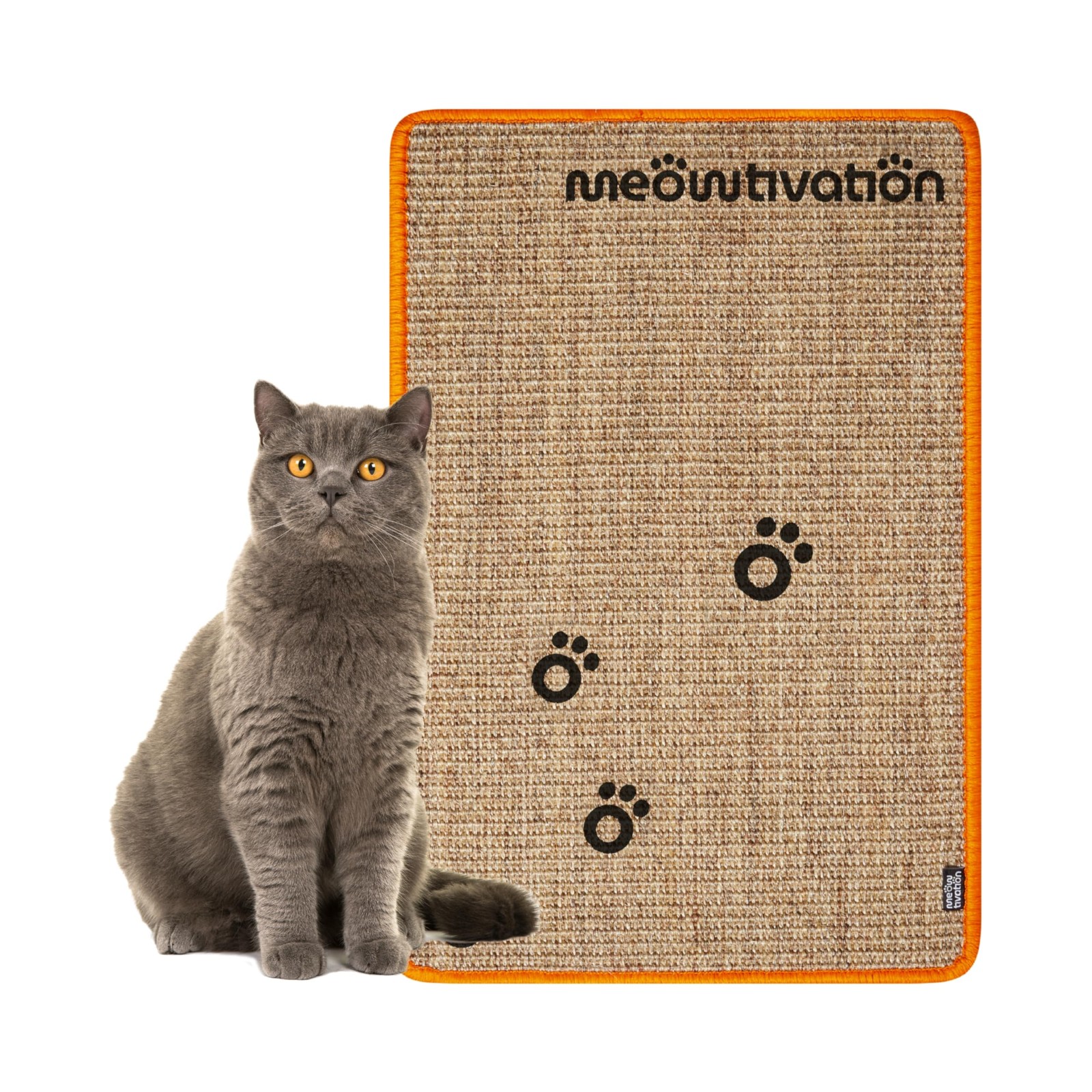 Tapis griffoir pour chats beige en sisal multifonction pour le salon