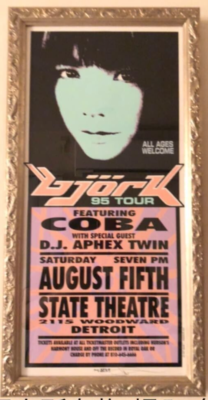 Bjork 95 tour AphexTwin silk screen poster | eBay